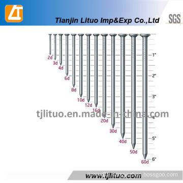 Low Price Supply Common Iron Wire Nail